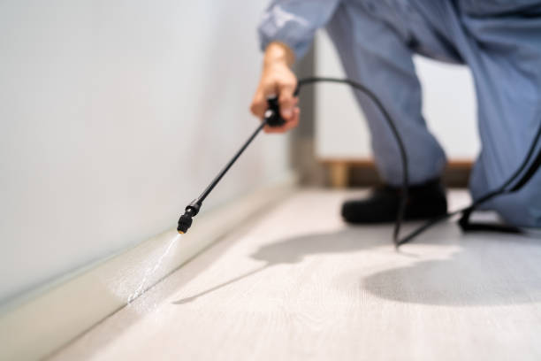 Certified termite inspector examining foundation in Fort Deposit