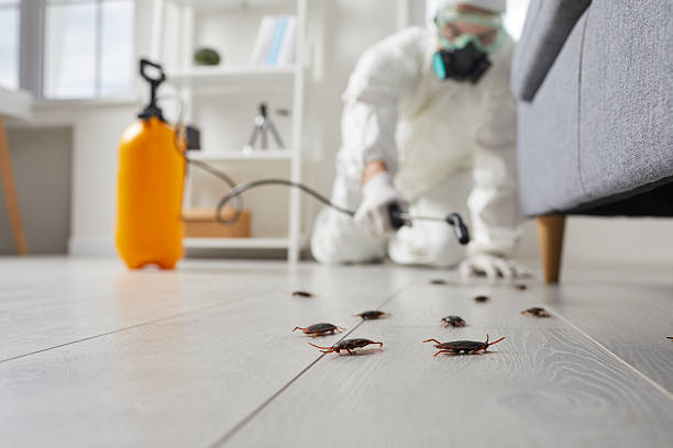 Post-Treatment Bed Bug Interceptor Monitoring in Fort Deposit