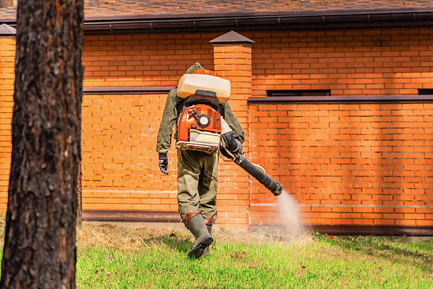 Bed Bug Clearance Verification and Documentation in Fort Deposit